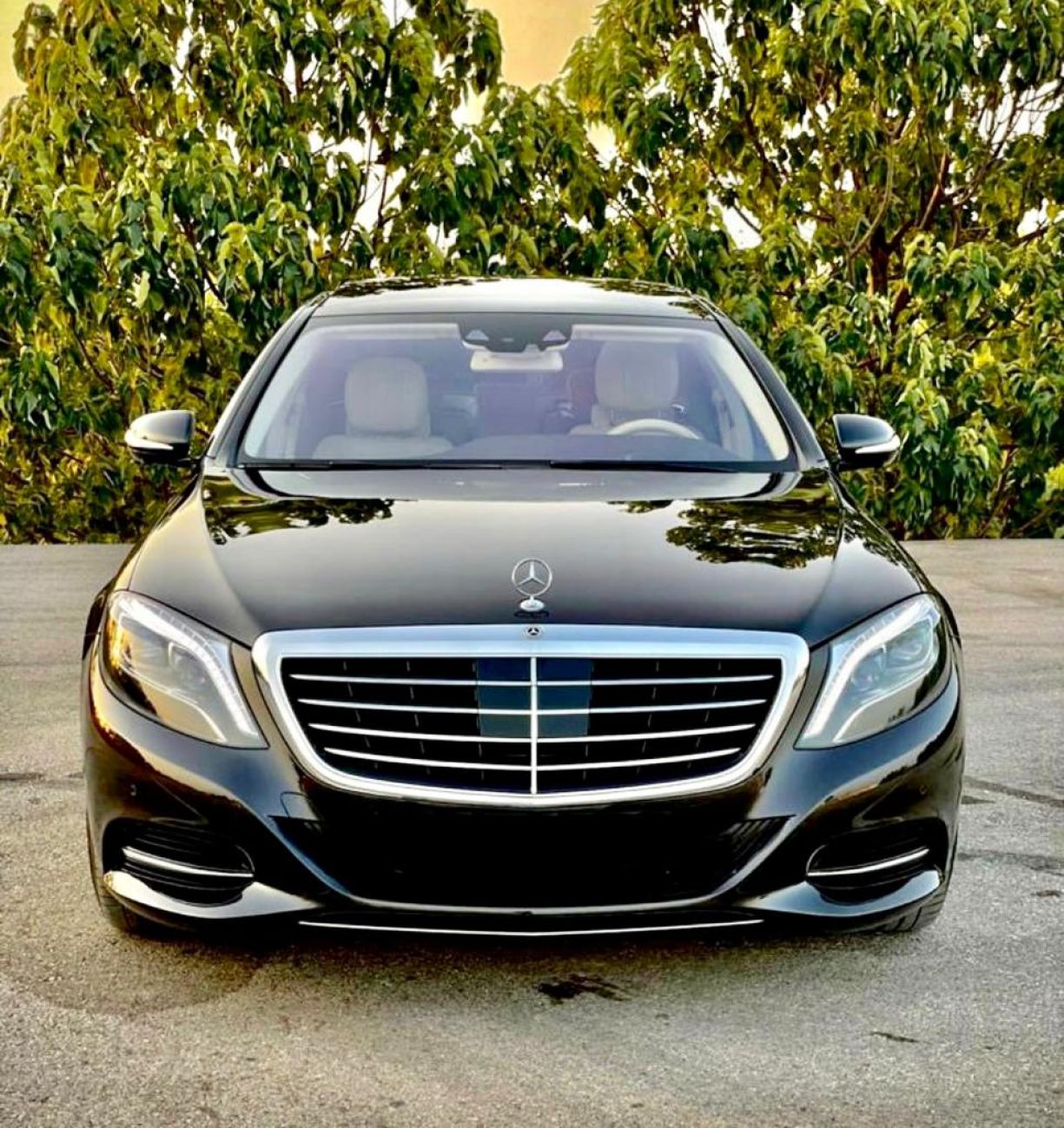 Hight class car Merceces with chauffeur